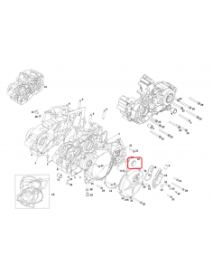 TAPON REGLAJE CENTRIGUGO RIEJU MR 250/300 GAS GAS EC 18-19