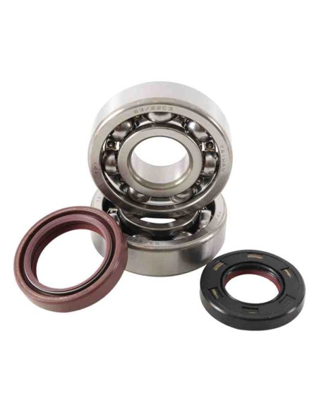 KIT RODAMIENTOS Y RETENES DE CIGUEÑAL HOT RODS YAMAHA YZ 125 98-00