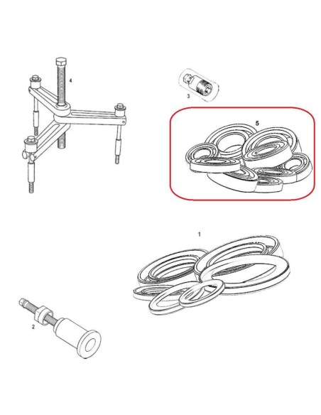 KIT RODAMIENTOS MOTOR GAS GAS EC 18-19 RIEJU MR 250/300