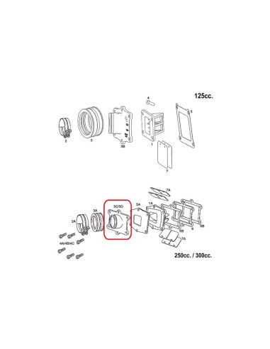 TUBERA CAJA LAMINAS GAS GAS EC 250 2006