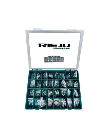 KIT TORNILLERIA RIEJU MR 250/300