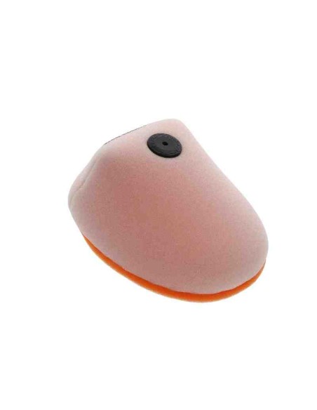 FILTRO DE AIRE TWIN AIR TM EN 144 2024 EN 250 22-24 EN 300 4T 22-24