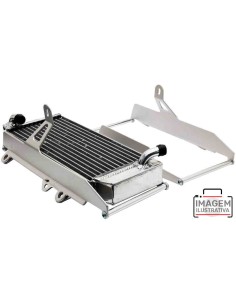 PROTECTORES RADIADOR CROSSPRO GAS GAS EC/FSR 00-17 PLATA