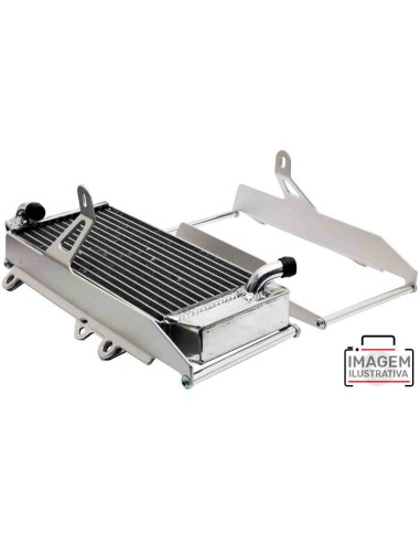 PROTECTORES RADIADOR CROSSPRO GAS GAS EC/FSR 00-17 PLATA