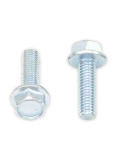 TORNILLO BOLT CABEZA HEXAGONAL M6x1.00x20 MM - 10 UNIDADES