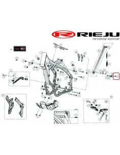 TORNILLO ISO 7380 Torx T-40 M8x25 INOX