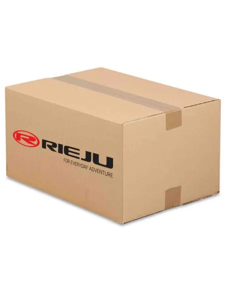 PIÑON CONDUCTOR DEL EJE SECUNDARIO RIEJU AVENTURA 500