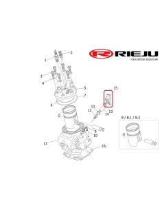 SENSOR MAP RIEJU MR 2025