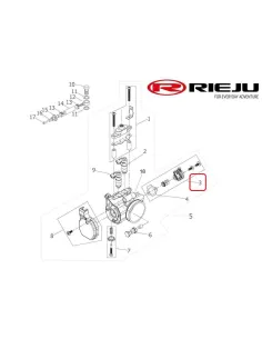 KIT COMPLETO TPS RIEJU MR 300i 2025