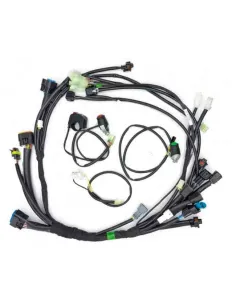KIT INSTALACION SIMPLIFICADA RIEJU MR 300i