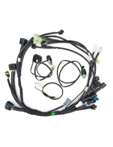 KIT INSTALACION SIMPLIFICADA RIEJU MR 300i