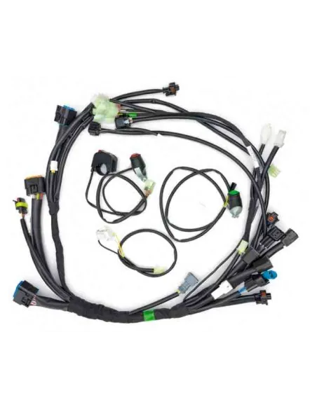 KIT INSTALACION SIMPLIFICADA RIEJU MR 300i