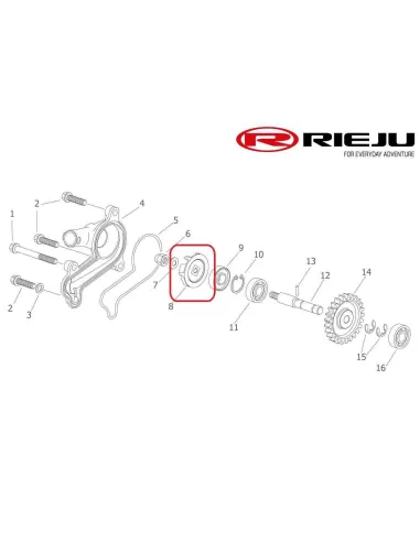 TURBINA BOMBA DE AGUA RIEJU MR 300i