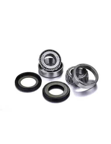 KIT RODAMIENTOS DIRECCION GAS GAS EC 125/200/250/300/450 96-05 FSE 400/450 03-05