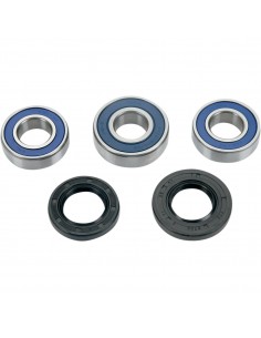 KIT RODAMIENTOS RUEDA TRASERA GAS GAS MC/EC 96-02