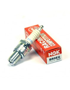 BUJIA NGK BR9EG