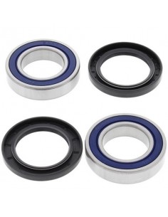 KIT RODAMIENTOS BUJE TRASERO YAMAHA YFS 200 BLASTER 03-06 YFZ 350 BANSHEE 89-09 YFM 660 RAPTOR 01-05