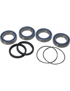 KIT RODAMIENTOS BUJE TRASERO SUZUKI LTR 450 06-11