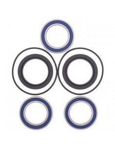 KIT RODAMIENTOS BUJE TRASERO KAWASAKI KFX 450R 08-14