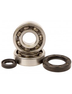 KIT RODAMIENTOS Y RETENES DE CIGUEÑAL HOT RODS HONDA CR 500 87-01