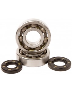 KIT RODAMIENTOS Y RETENES DE CIGUEÑAL HOT RODS KAWASAKI KX 250 87-01 KDX 250 91-94
