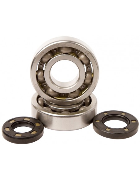 KIT RODAMIENTOS Y RETENES DE CIGUEÑAL HOT RODS KAWASAKI KX 250 87-01 KDX 250 91-94