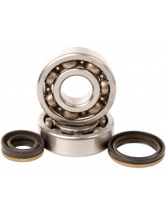 KIT RODAMIENTOS Y RETENES DE CIGUEÑAL HOT RODS SUZUKI RM 125 99-07