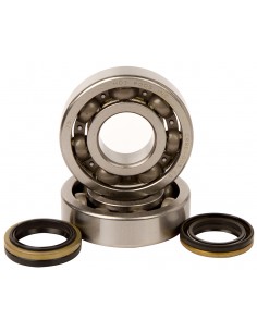 KIT RODAMIENTOS Y RETENES DE CIGUEÑAL HOT RODS SUZUKI RM 250 05-08