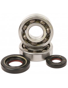 KIT RODAMIENTOS Y RETENES DE CIGUEÑAL HOT RODS YAMAHA YZ 250 01-20