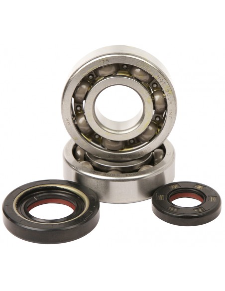 KIT RODAMIENTOS Y RETENES DE CIGUEÑAL HOT RODS YAMAHA YZ 250 01-20