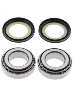 KIT RODAMIENTOS DIRECCION TM EN 125/250/300 98-01 MX 125/250/300 98-01