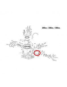 VALVULA DE ESCAPE CENTRAL GAS GAS 250/300 2 TIEMPOS