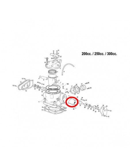 VALVULA DE ESCAPE CENTRAL GAS GAS 250/300 2 TIEMPOS