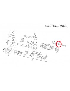 MUELLE FIJADOR DE MARCHAS GAS GAS 200/250/300