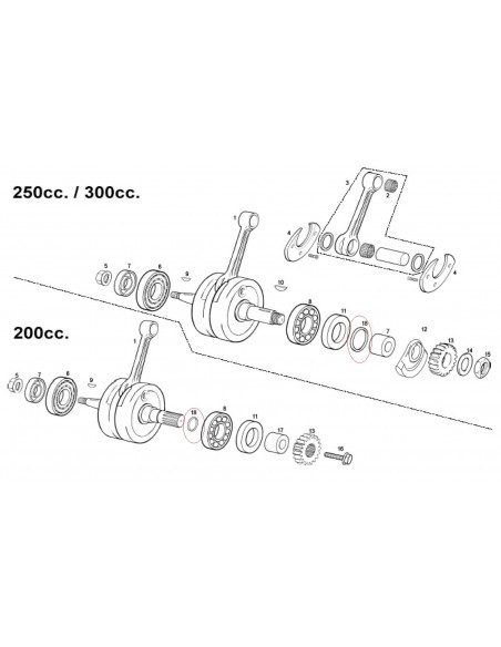TORICA CIGUEÑAL GAS GAS 23X2 NBR