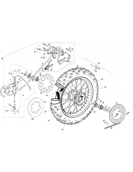 PROTECTOR TORNILLO PINZA FRENO TRASERA GAS GAS 125/200/250/300