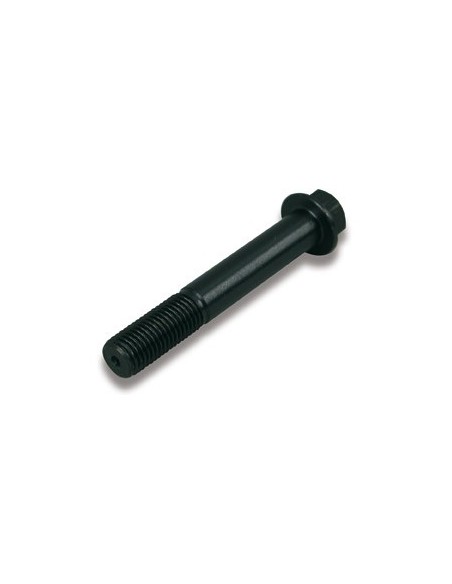 OUTLET TORNILLO PINZA DE FRENO NISSIN - 65MM LARGO