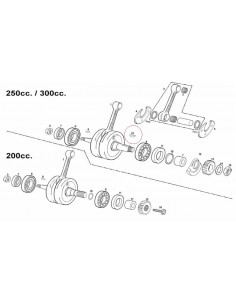 CHAVETA CIGUEÑAL GAS GAS EC 200/250/300