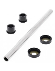 KIT REPARACION BRAZO DE SUSPENSION DELANTERO SUPERIOR YAMAHA RAPTOR 660 01-05