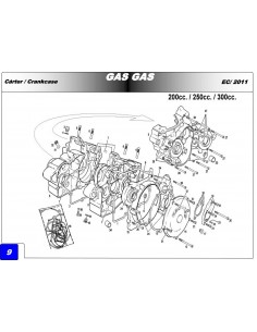 TORNILLO ALLEN 6X60 GAS GAS