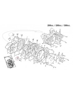 TORNILLO ALLEN 8X14 GAS GAS