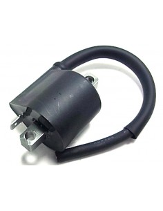 BOBINA DE ENCENDIDO TOURMAX SUZUKI DRZ 400 00-13 LTZ 400 03-08