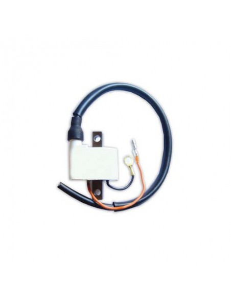 BOBINA DE ENCENDIDO DZE YAMAHA YFS BLASTER 200 88-00 YFM 250 RAPTOR 08-12