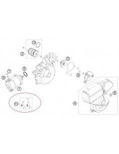 KIT ESCOBILLAS MOTOR DE ARRANQUE KTM EXC 2T - VER MODELOS DENTRO
