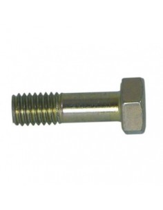 TORNILLO TAPA CARBURADOR