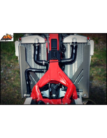 PROTECTORES RADIADOR AXP RACING BETA RR 250/300 14-17