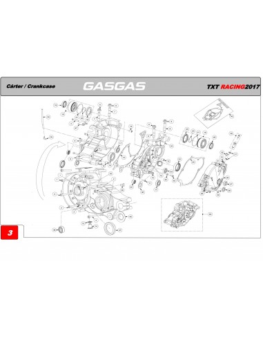 JUNTA CARTER CENTRAL 0.2MM GAS GAS TRIAL