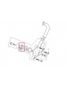 RETEN BOMBA DE AGUA GAS GAS TXT PRO 10X35X7 DUO FKM