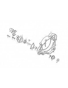 EJE BOMBA AGUA MORINI 50cc