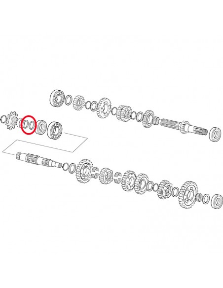 TORICA 25 X 2 PIÑON SALIDA GAS GAS 200/250/300